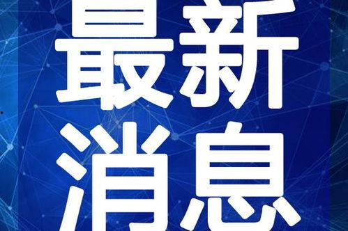 炮嫂直播爆料最新视频大全,最新视频大全精彩瞬间大盘点