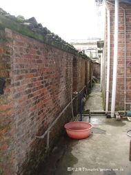 长春养猪场爆料视频最新,揭露养殖场内幕，动物福利堪忧