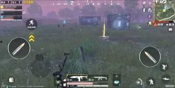 和平精英的最新版本爆料,全新内容与玩法大曝光！